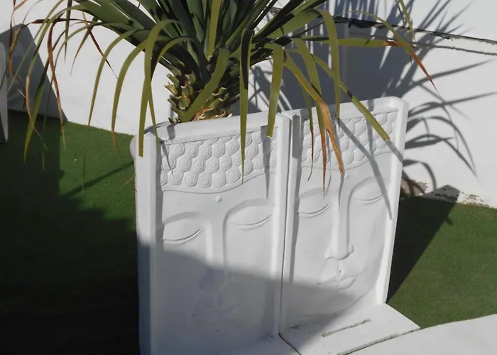 Boys Men Only Solo Hombres 아파트 마스팔로마스