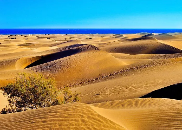 Boys Men Only Solo Hombres 아파트 *